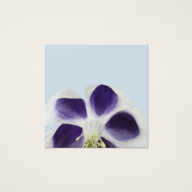 Notas de Norma de Arte Floral (Anverso)