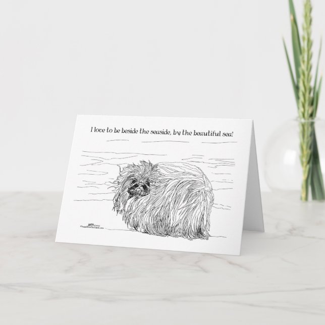 Notas de perro de Pekingese (Anverso)