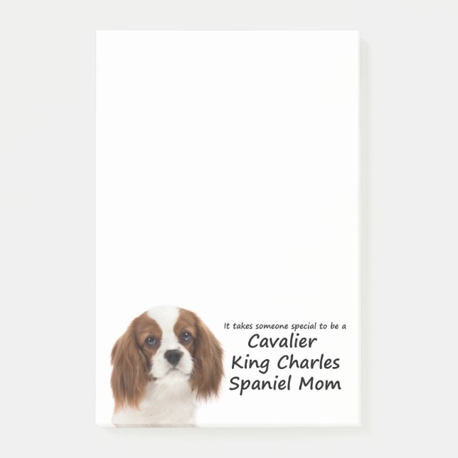 Notas de post-it de la mamá del perro de aguas (Anverso)