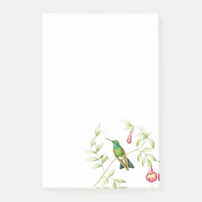 Notas de post-it de los colibríes de Goulds (Anverso)