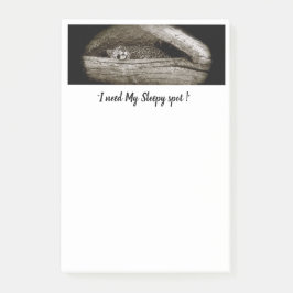 Notas de post-it de los "puntos soñolientos", 4 x