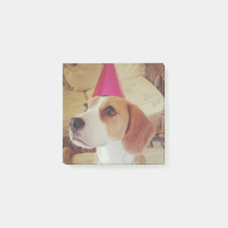 Notas de post-it del beagle del cumpleaños