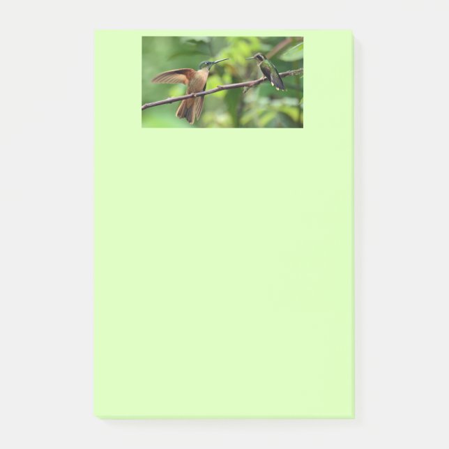 Notas de post-it del colibrí (Anverso)