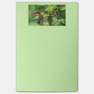 Notas de post-it del colibrí
