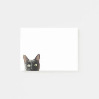 Notas de post-it del gato