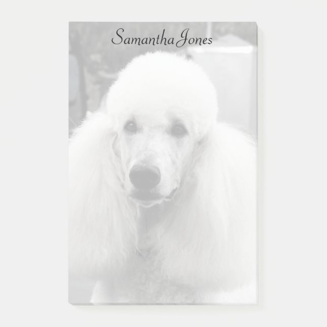 Notas de post-it del perro de caniche (Anverso)