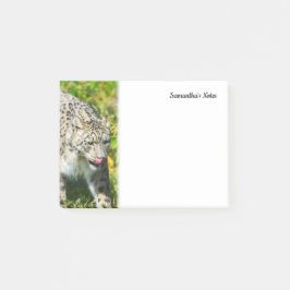 Notas de Snow Leopard