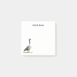 Notas de tocador de ganso de Canadá