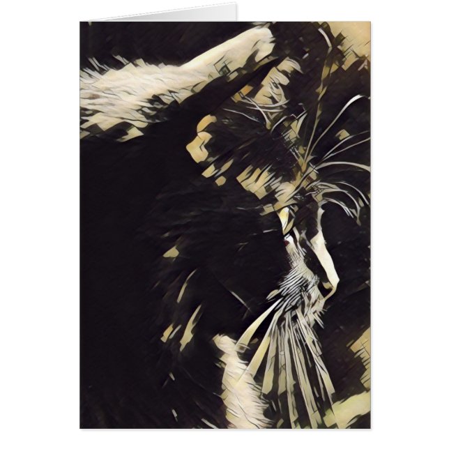 Notas del arte del gato, perfil del gato negro (Frente)