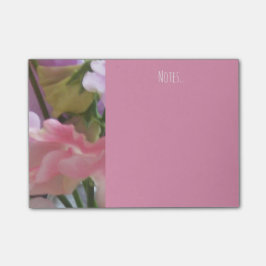 notas del guisante de olor