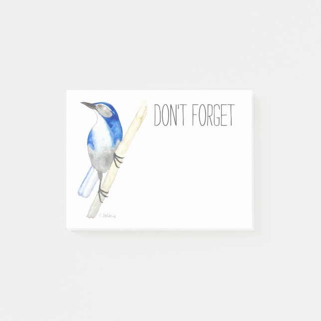 Notas del post de California Scrub Jay (Anverso)