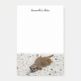 Notas del post de Chillin' Meerkat