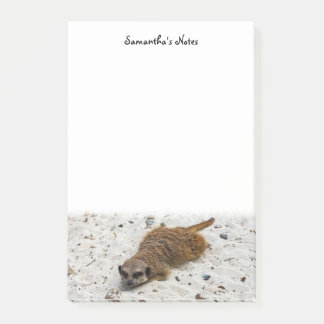 Notas del post de Chillin' Meerkat