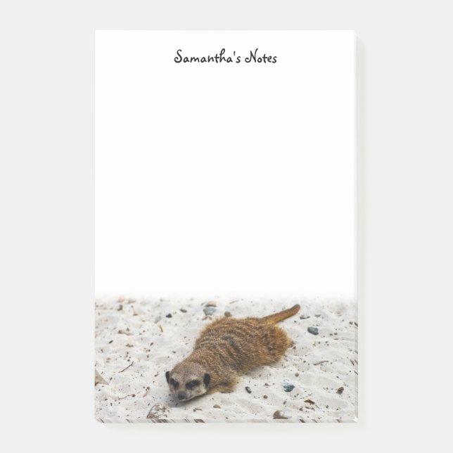 Notas del post de Chillin' Meerkat (Anverso)