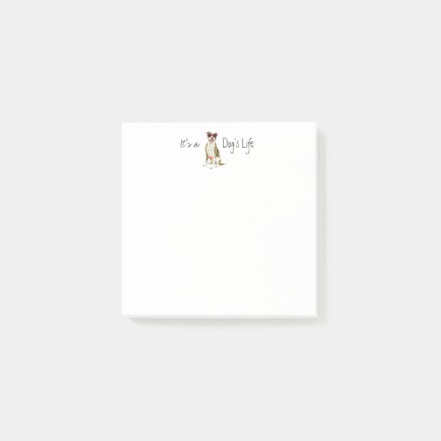 Notas post de Summer Pit Bull Terrier (Anverso)