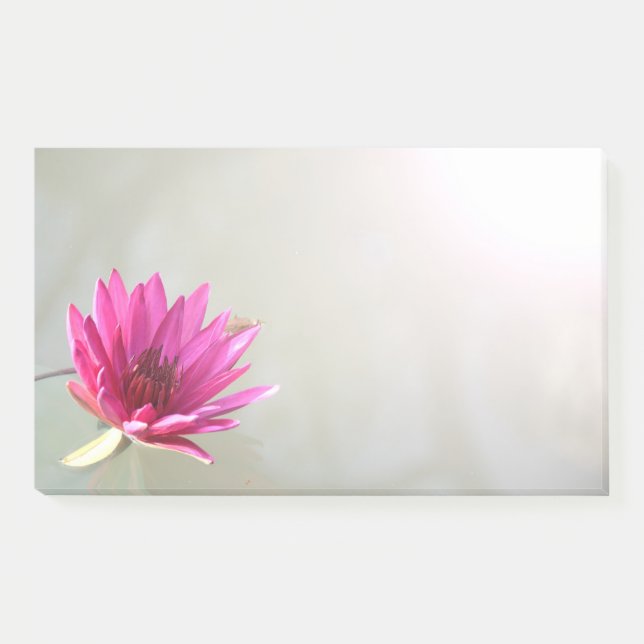 notas post-it (Anverso)