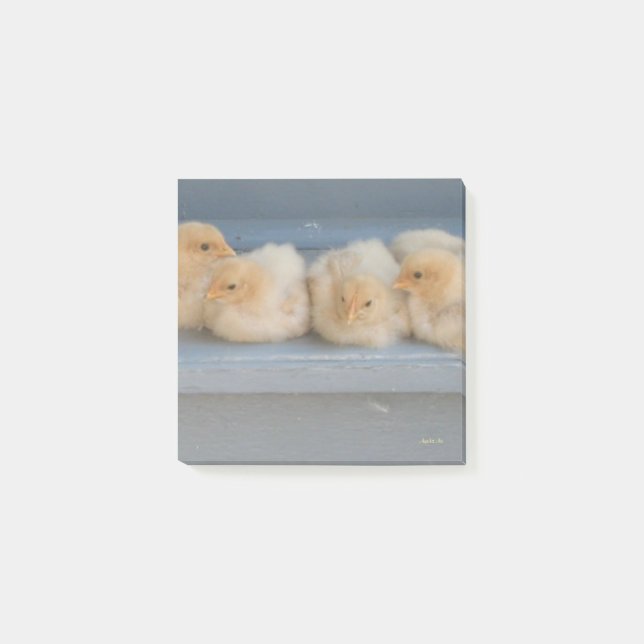 Notas Post-it (Anverso)