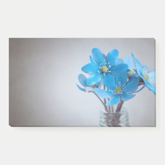 notas post-it (Anverso)