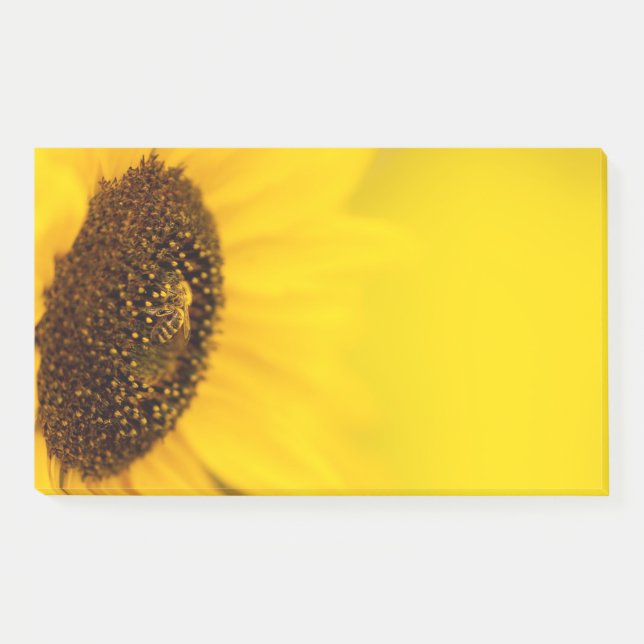 notas post-it (Anverso)