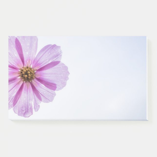 notas post-it (Anverso)