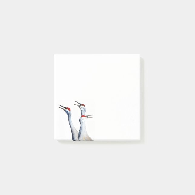 Notas Post-it® 3 Sandhill Cranes Photo 3x3 Post-it Notes (Anverso)