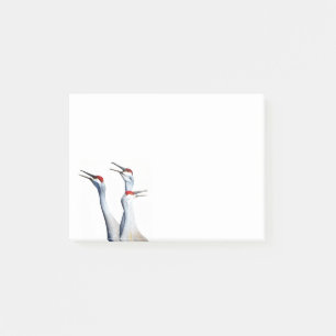 Notas Post-it® 3 Sandhill Cranes Photo 4x3 Notes