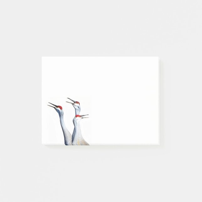 Notas Post-it® 3 Sandhill Cranes Photo 4x3 Notes (Anverso)