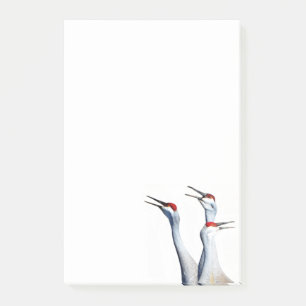 Notas Post-it® 3 Sandhill Cranes Photo 4x6 Notes