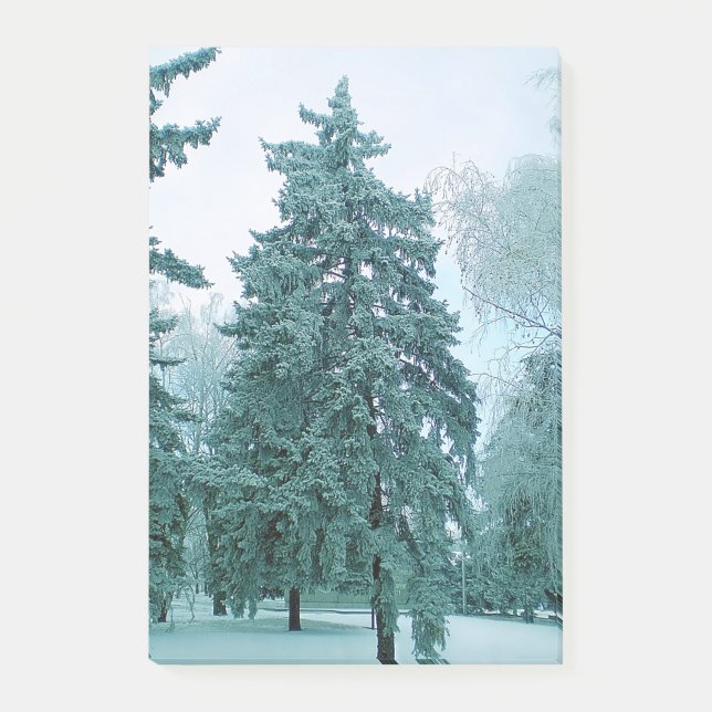 Notas Post-it® Abeto con hielo (Anverso)