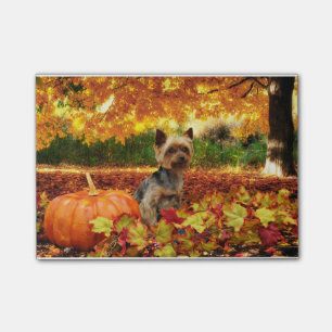 Notas Post-it® Acción de gracias de la caída - Tucker - Yorkie