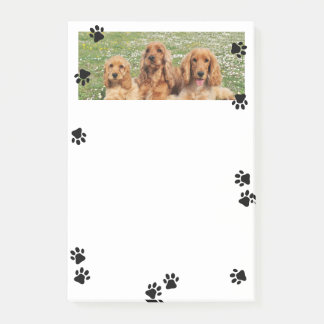 Notas Post-it® Adorables huellas de patas anchas foto de mascota