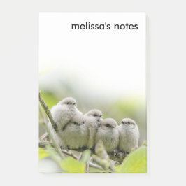Notas Post-it® Alarmante foto de la familia Songbirds de los anim
