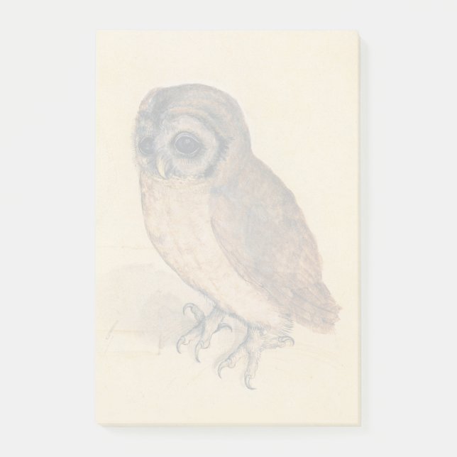 Notas Post-it® Albrecht Durer The Little Owl (Anverso)