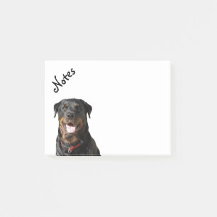 Notas Post-it® Alcohol Rottweiler hermoso