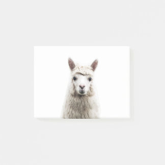 Notas Post-it® Alpaca blanca