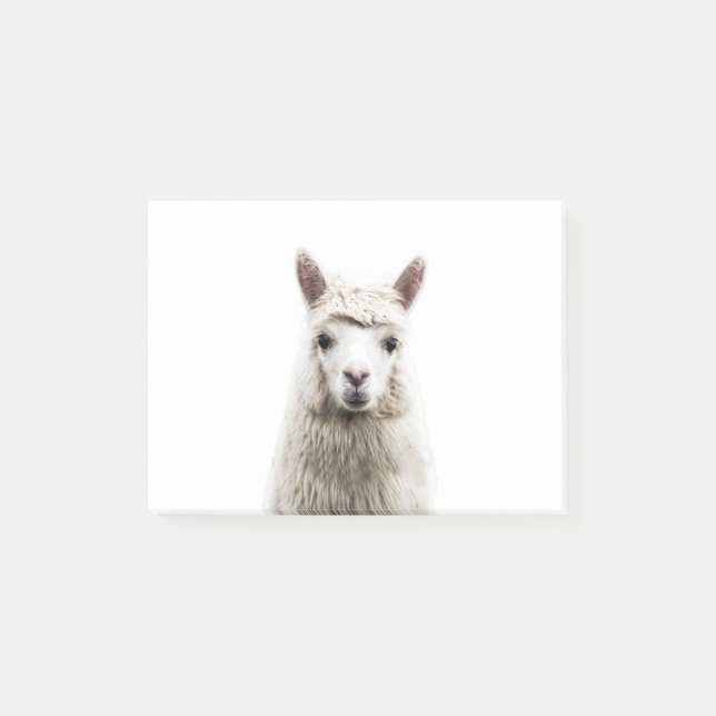 Notas Post-it® Alpaca blanca (Anverso)