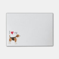 Amo mi beagle