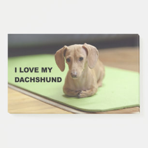 Notas Post-it® Amo mi crema Dachshund con una foto