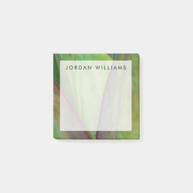 Notas Post-it® Añada su detalle conocido de la planta del agavo (Anverso)