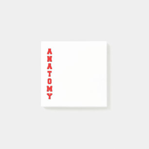 Notas Post-it® Anatomía
