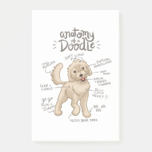 Notas Post-it® Anatomía de un Goldendoodle