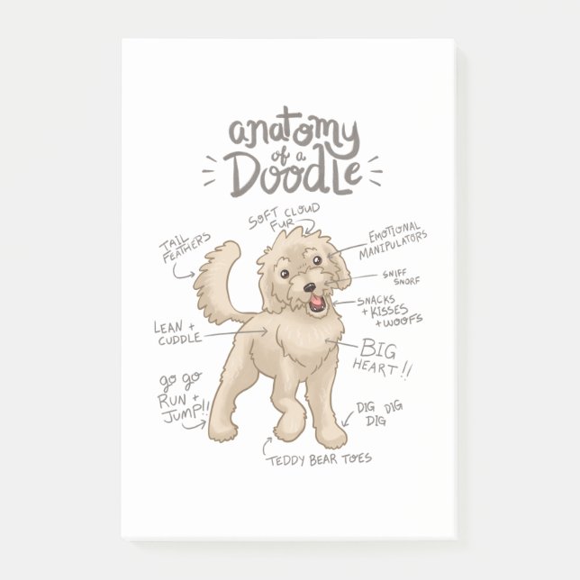 Notas Post-it® Anatomía de un Goldendoodle (Anverso)