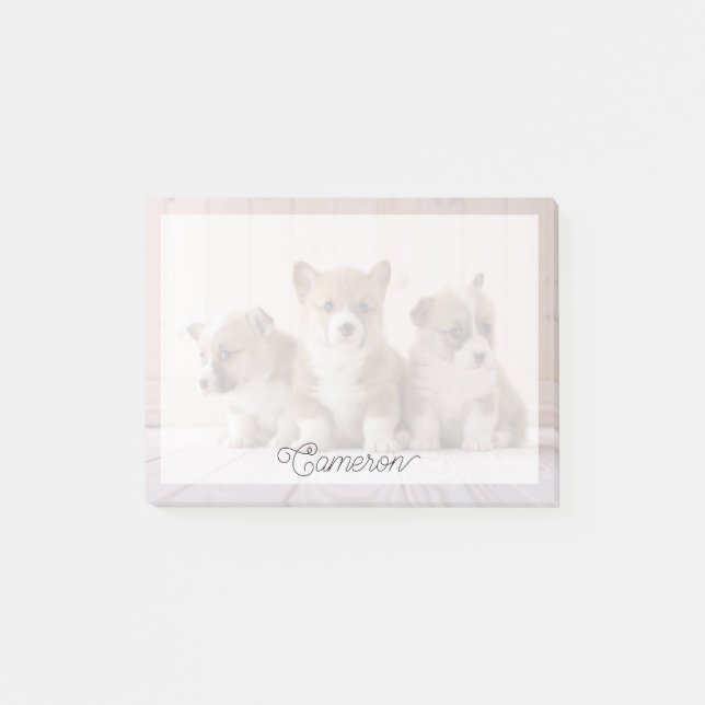 Notas Post-it® Animales de bebé más afectados | 3 Baby Corgis (Anverso)