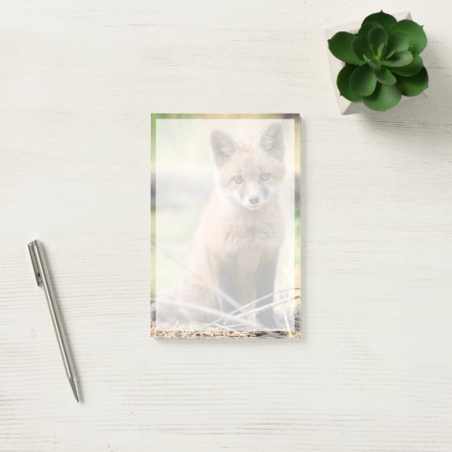 Notas Post-it® Animales de bebé más afectados | Baby Fox (Oficina)