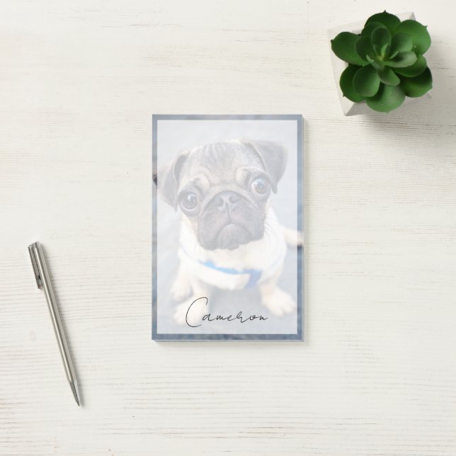 Notas Post-it® Animales de bebé más afectados | Baby Pug (Oficina)