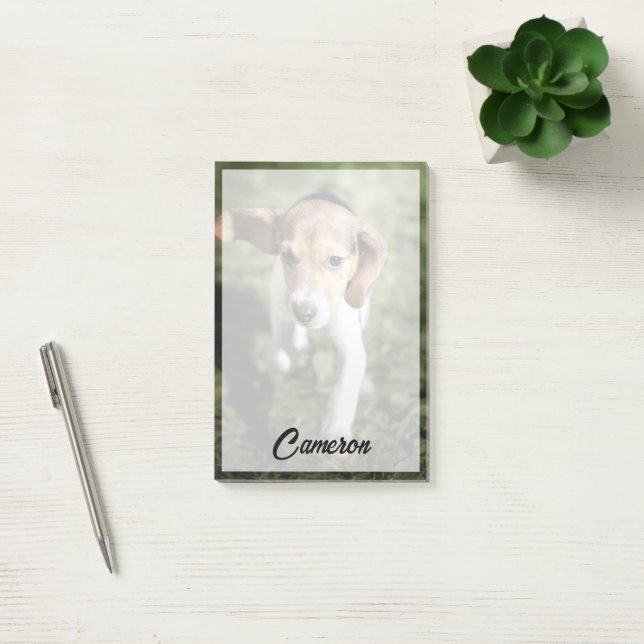Notas Post-it® Animales de bebé más afectados | Beagle Puppy (Oficina)
