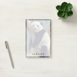 Notas Post-it® Animales de bebé más afectados Bebé Panda Bear D