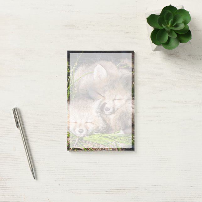Notas Post-it® Animales de bebé más afectados | Bebé Red Fox Kits (Oficina)