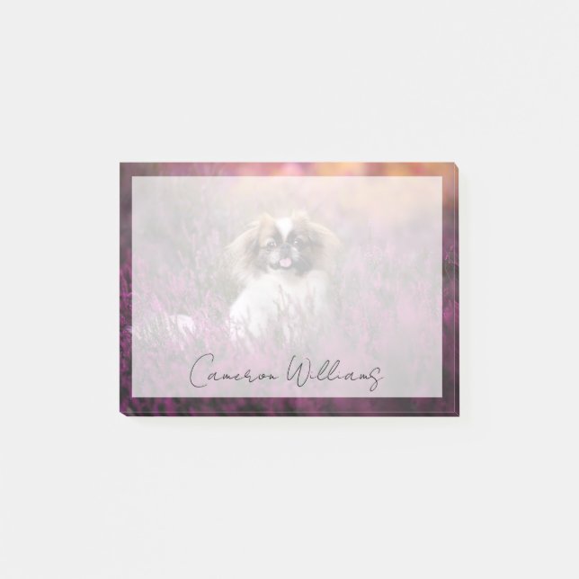 Notas Post-it® Animales de bebé más afectados | Cachorros de Pekí (Anverso)