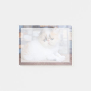 Notas Post-it® Animales de bebé más afectados Calico Persian Ki
